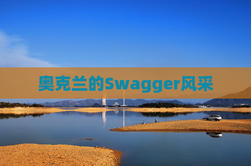 奥克兰的Swagger风采